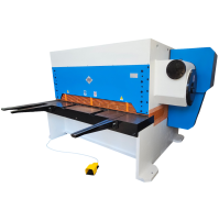 CESOIA MECCANICA A GHIGLIOTTINA BB 2000 X 8 TRANCIA LAMIERA FERRO METALLO USATA