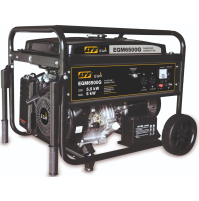 Generatore corrente 5,5 kw avviamento elettrico monofase AVR LTF EGM6500G CE