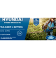 Tagliasiepi Tagliasiepe elettrico a batteria litio HYUNDAI 20V 51cm Taglia Siepi